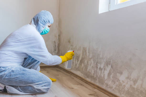 Licensed Crawl Space Mold Remediation service in Deer Park, TX - Car Mold Remediation